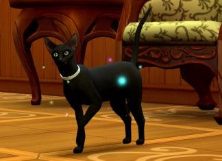 Мод «Улучшение фамильяров Мира Магии» от ShuSanR для Sims 4 Мод «Улучшение фамильяров Мира Магии» от ShuSanR для Sims 4